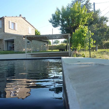 Tuttaterra Guest House Serra San Quirico Ngoại thất bức ảnh