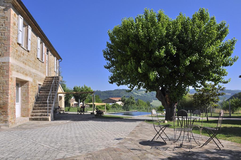 Tuttaterra Guest House Serra San Quirico Ngoại thất bức ảnh